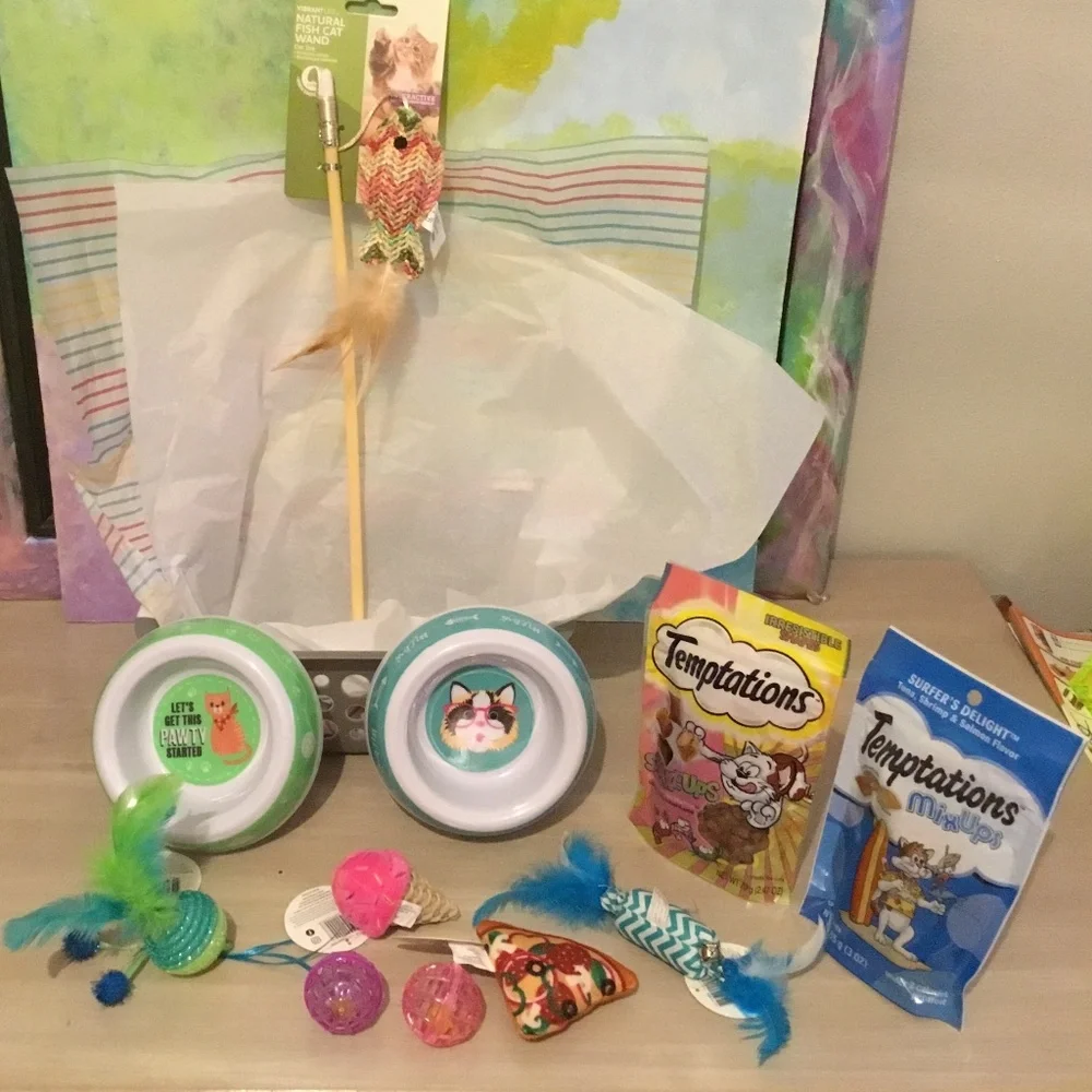 Cat Basket 12 items